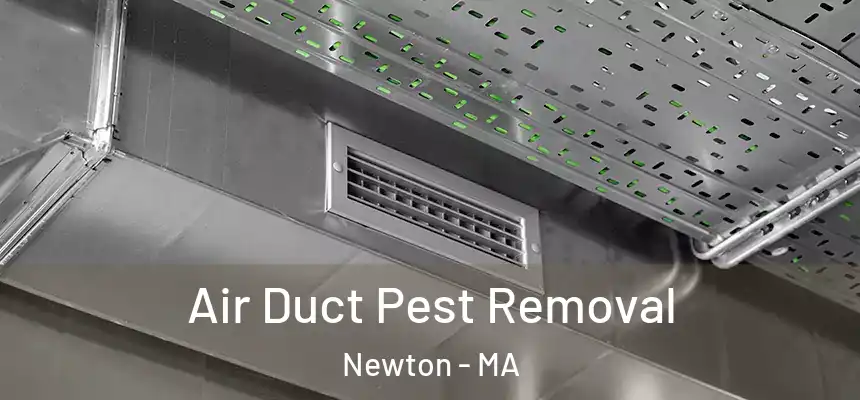  Air Duct Pest Removal Newton - MA