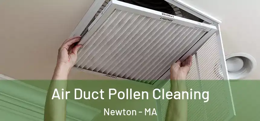 Air Duct Pollen Cleaning Newton - MA