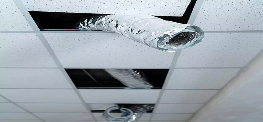 Our Air Duct Pet Hair Removal Services in Newton, MA