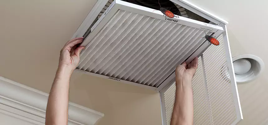 Our Insect Removal from Air Ducts Services in Newton, MA