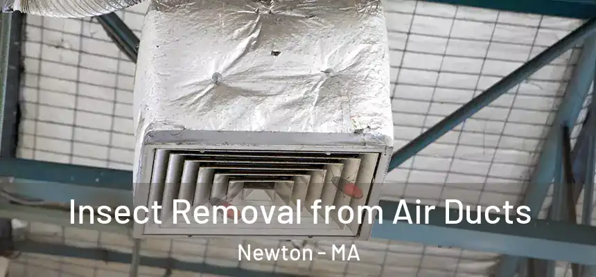 Insect Removal from Air Ducts Newton - MA