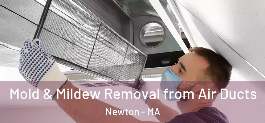 Mold & Mildew Removal from Air Ducts Newton - MA