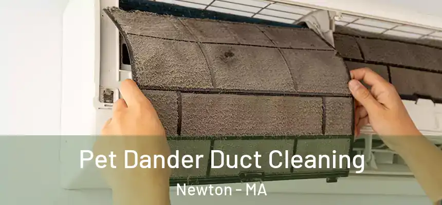 Pet Dander Duct Cleaning Newton - MA