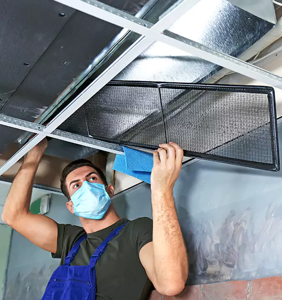 About Air Duct Bacteria Removal in Newton