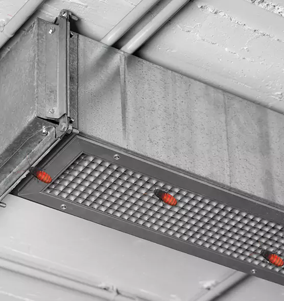 Affordable Insect Removal from Air Ducts in Newton, MA