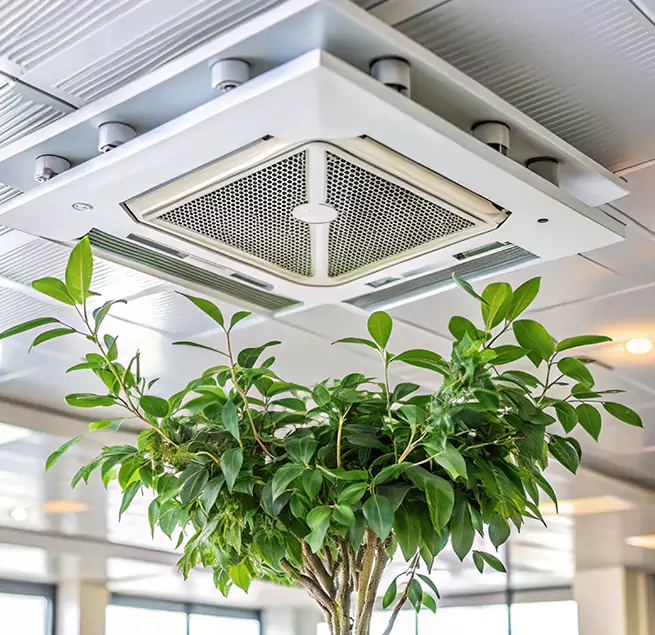 Why Homeowners & Businesses Trust Us in Newton, MA?