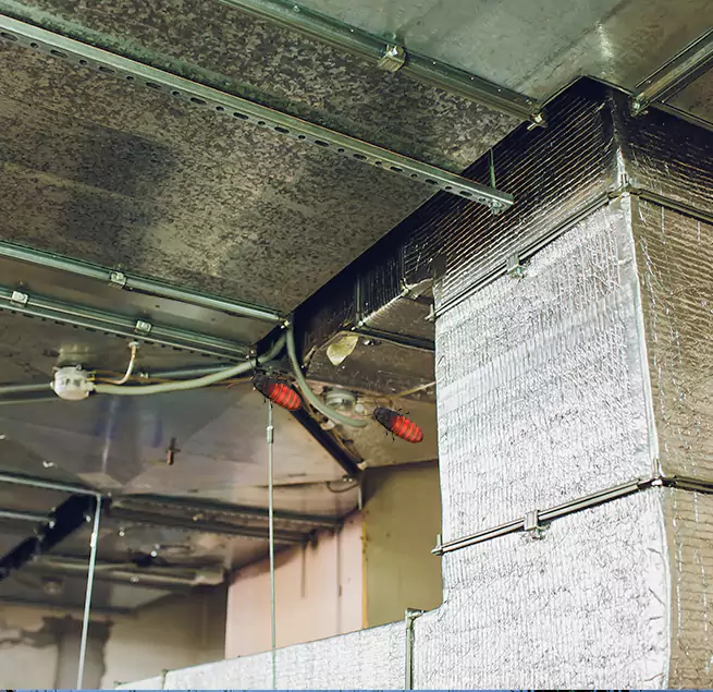 Why Homeowners & Businesses Trust Us Newton, MA?