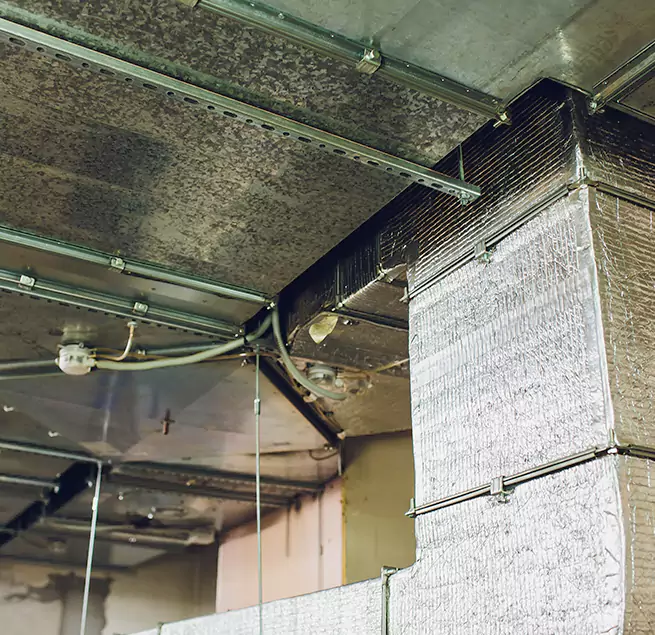 Why Homeowners & Businesses Trust Us in Newton, MA?